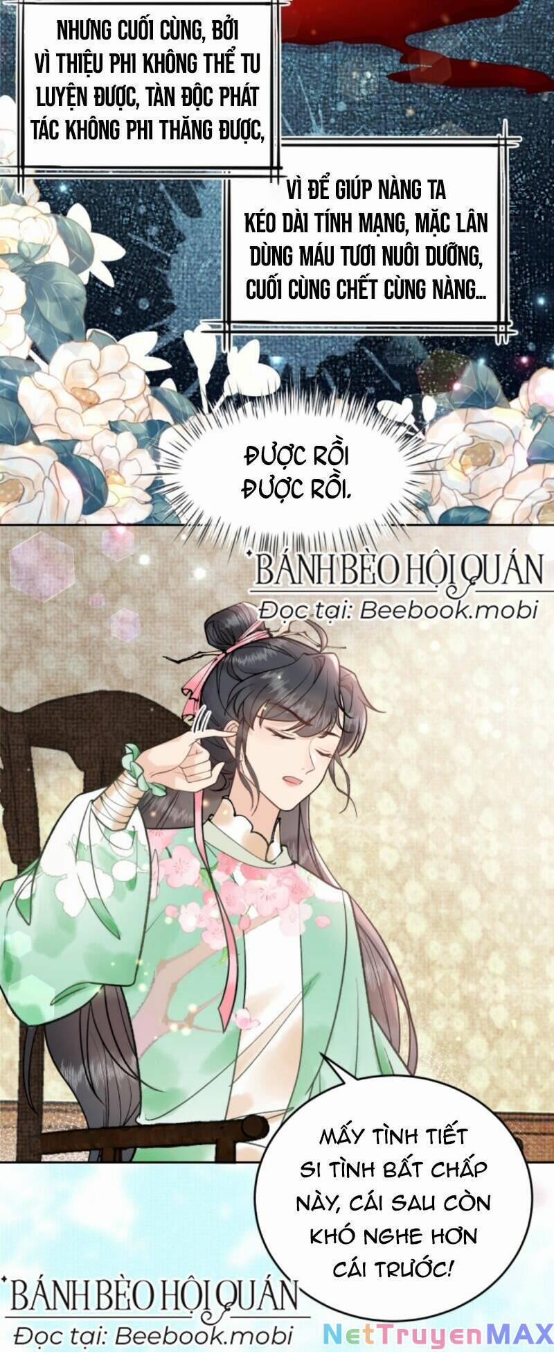 Toàn Tông Môn Đều Là Kẻ Si Tình, Chỉ Có Ta Là Tỉnh Táo 15 trang 14