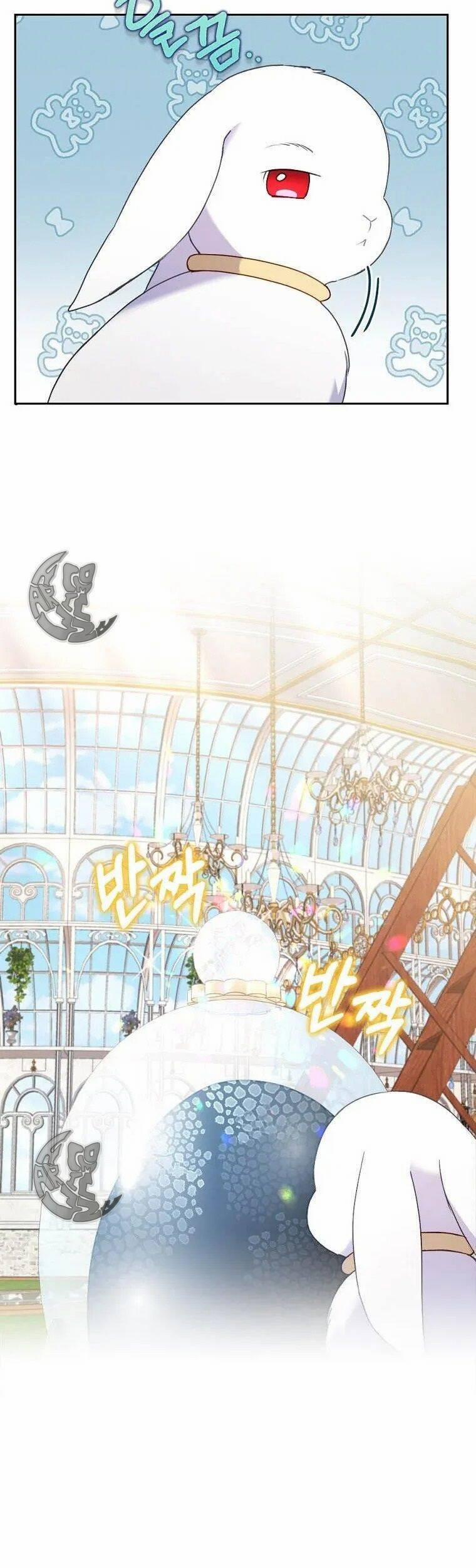 Tôi Bị Quyến Rũ Bởi Nam Chính Ốm Yếu 23 trang 39