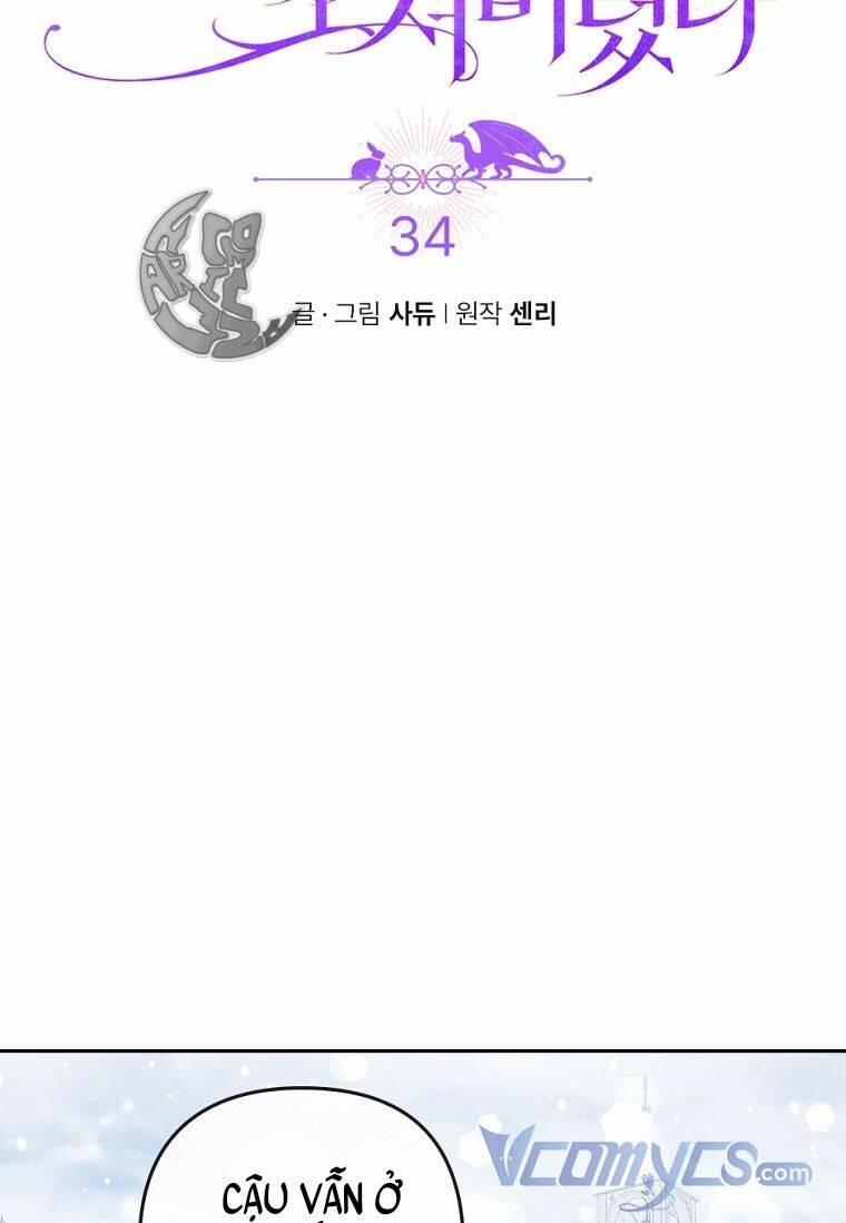 Tôi Bị Quyến Rũ Bởi Nam Chính Ốm Yếu 34 trang 7