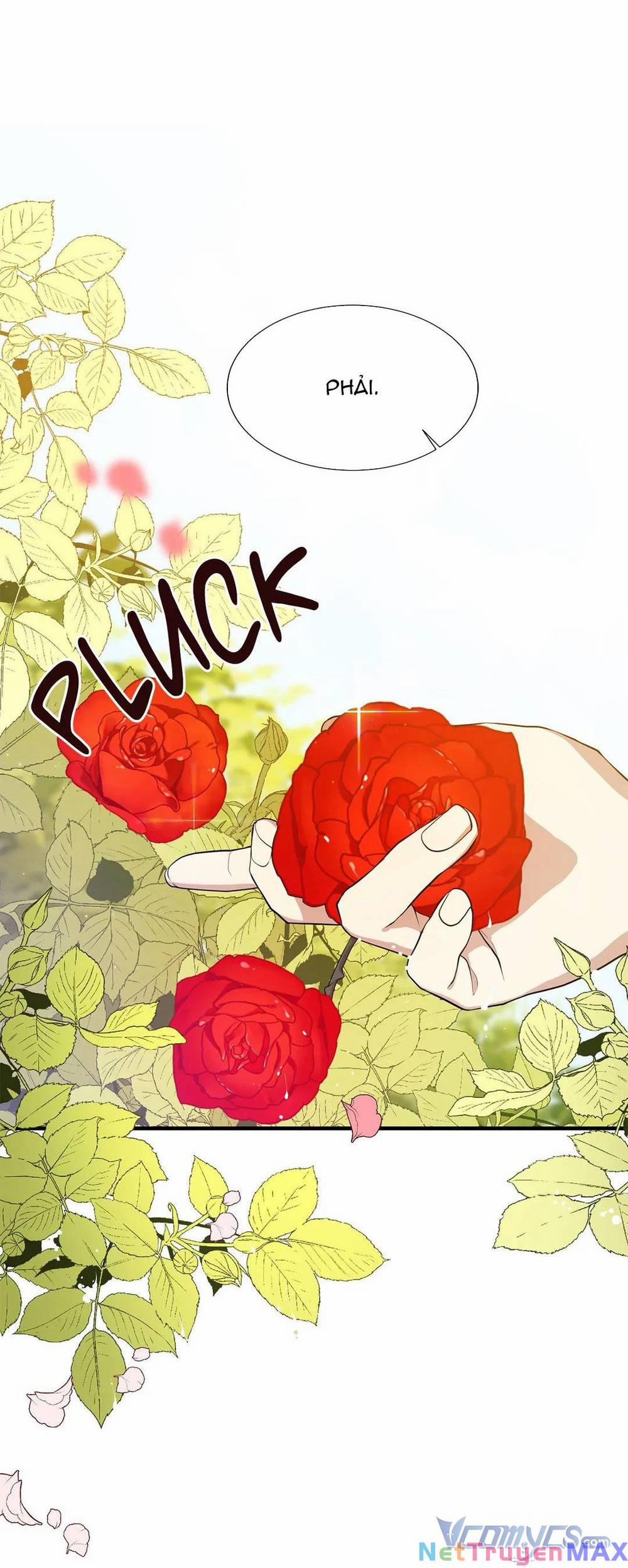 Tôi Chính Là Em Gái Của Nữ Chính Hắc Ám 11 trang 51