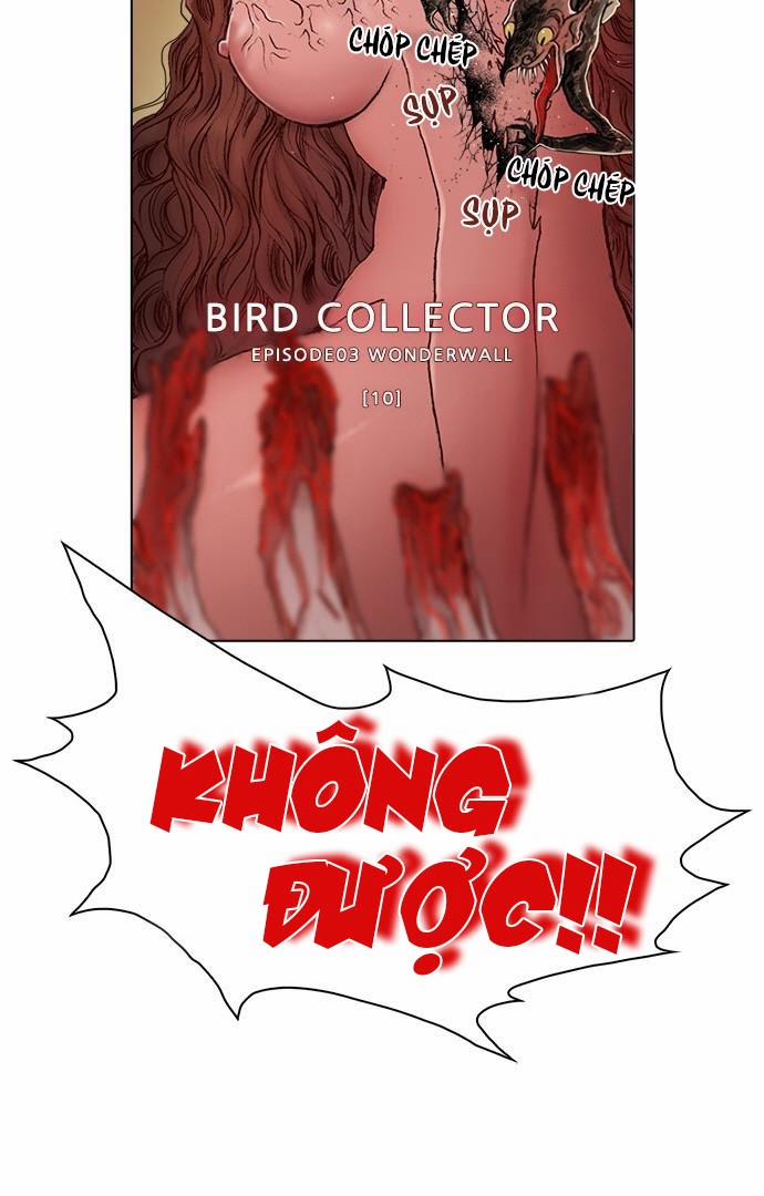 Tôi Chính Là Nhà Sưu Tập Chim 10 trang 3