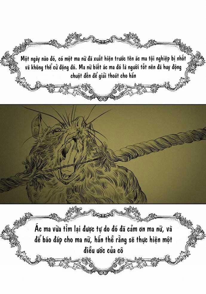 Tôi Chính Là Nhà Sưu Tập Chim 11 trang 39