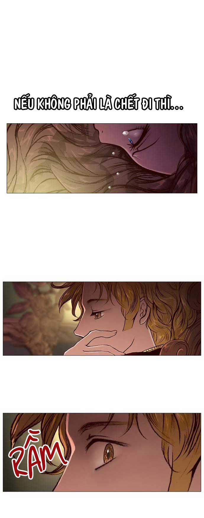 Tôi Chính Là Nhà Sưu Tập Chim 15 trang 29