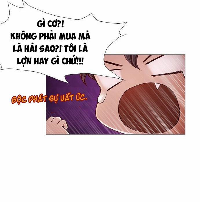 Tôi Chính Là Nhà Sưu Tập Chim 17 trang 15