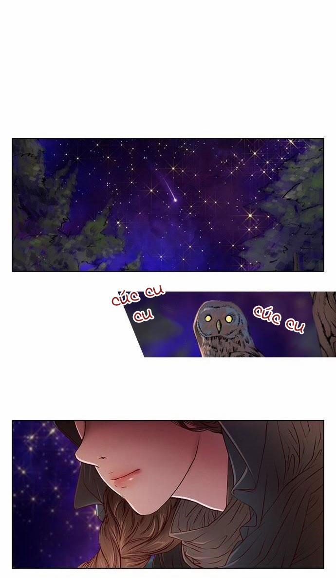 Tôi Chính Là Nhà Sưu Tập Chim 17 trang 19