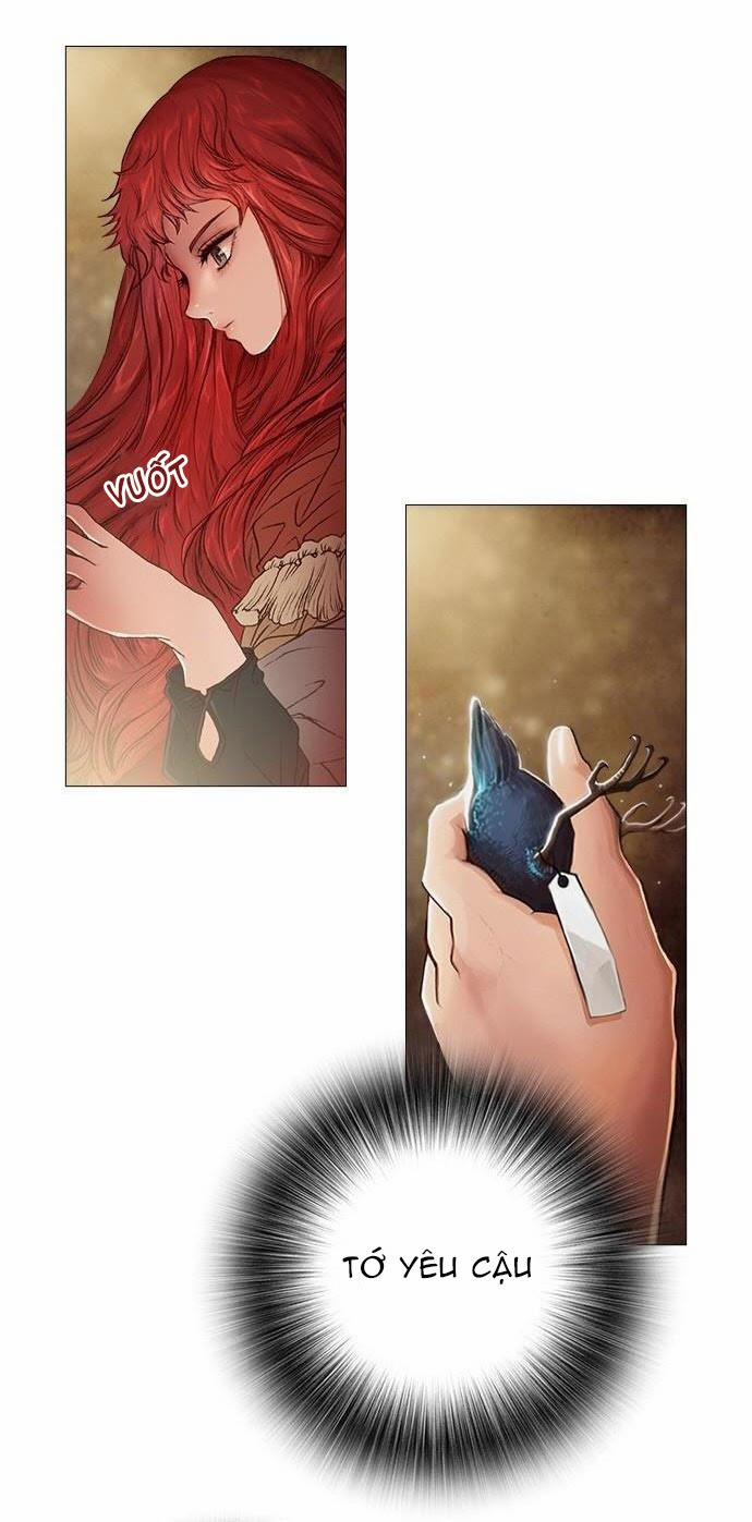 Tôi Chính Là Nhà Sưu Tập Chim 17 trang 2