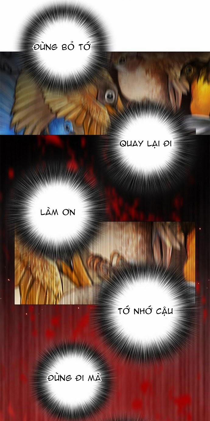 Tôi Chính Là Nhà Sưu Tập Chim 17 trang 3