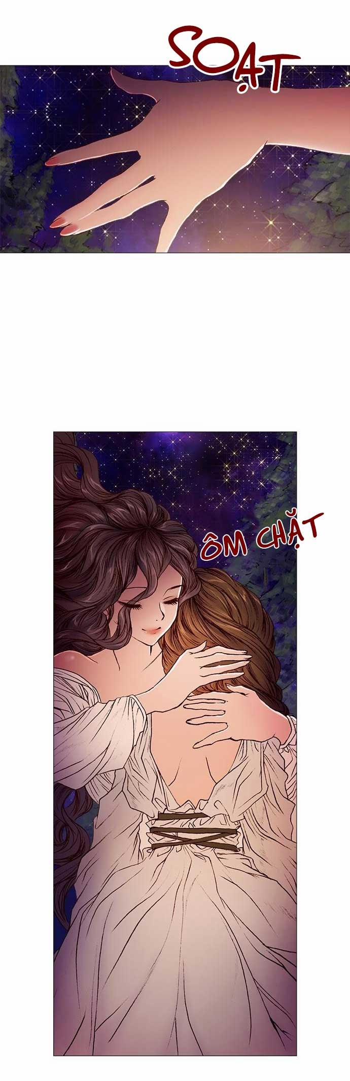 Tôi Chính Là Nhà Sưu Tập Chim 19 trang 33