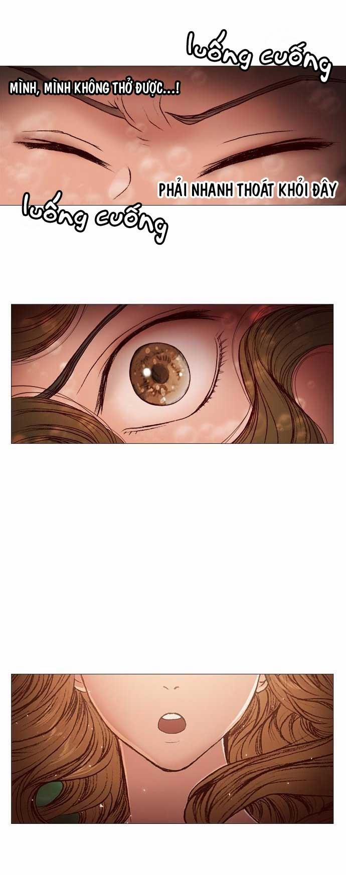 Tôi Chính Là Nhà Sưu Tập Chim 20 trang 11