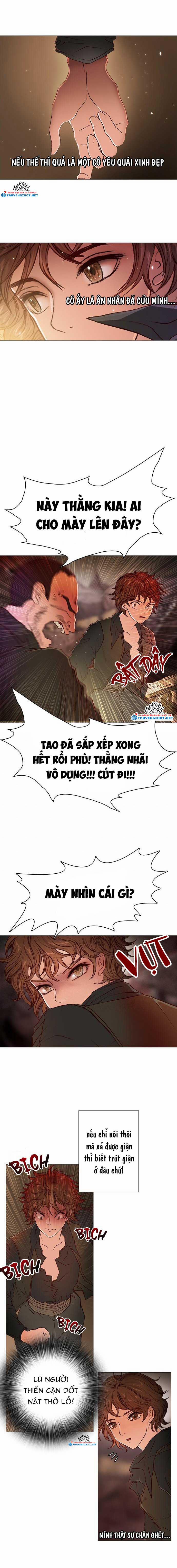 Tôi Chính Là Nhà Sưu Tập Chim 21.2 trang 0