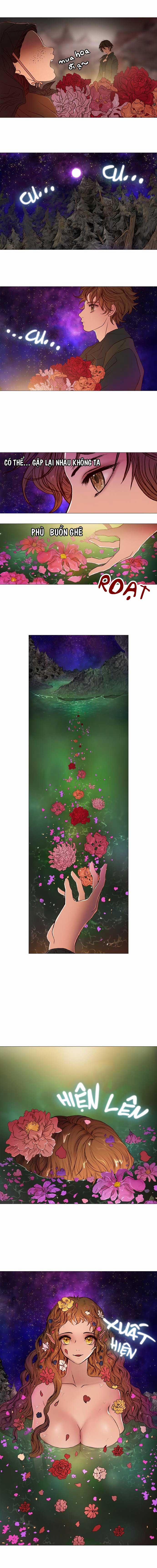 Tôi Chính Là Nhà Sưu Tập Chim 21.2 trang 1