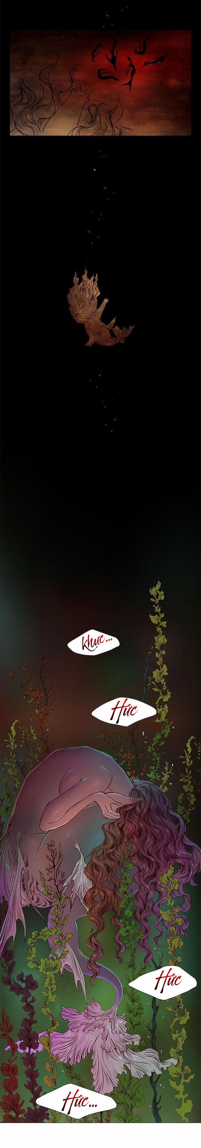 Tôi Chính Là Nhà Sưu Tập Chim 23.3 trang 2