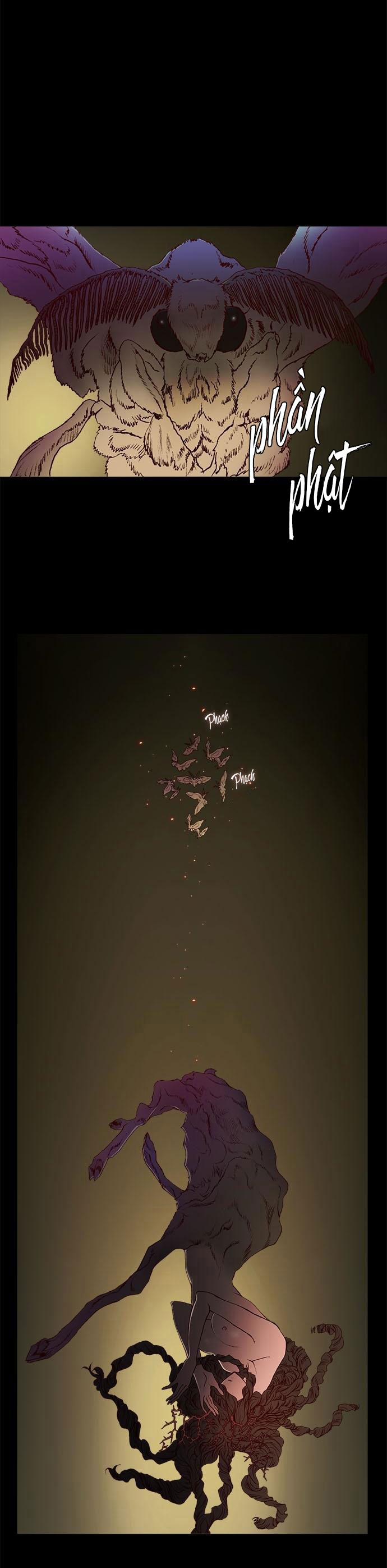 Tôi Chính Là Nhà Sưu Tập Chim 25.1 trang 1