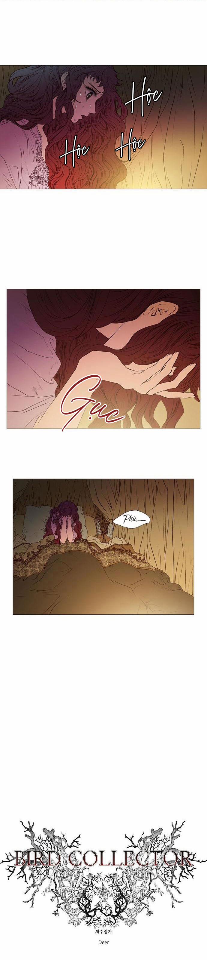 Tôi Chính Là Nhà Sưu Tập Chim 25.1 trang 5