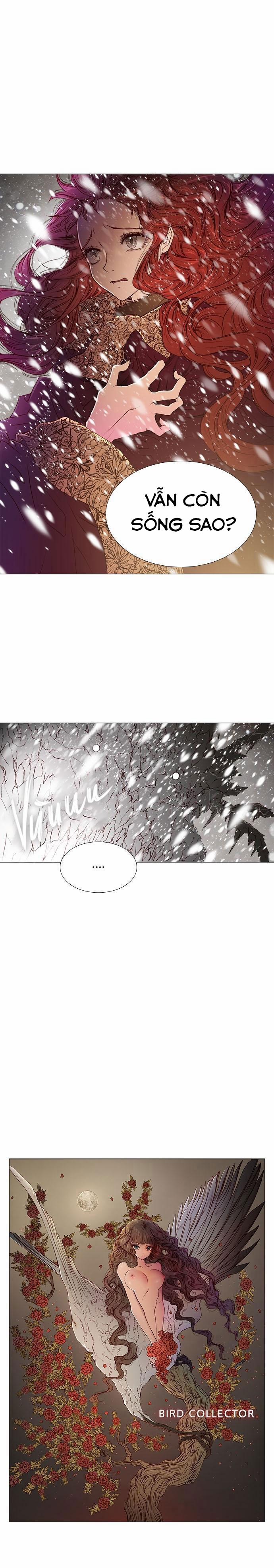 Tôi Chính Là Nhà Sưu Tập Chim 26.1 trang 1