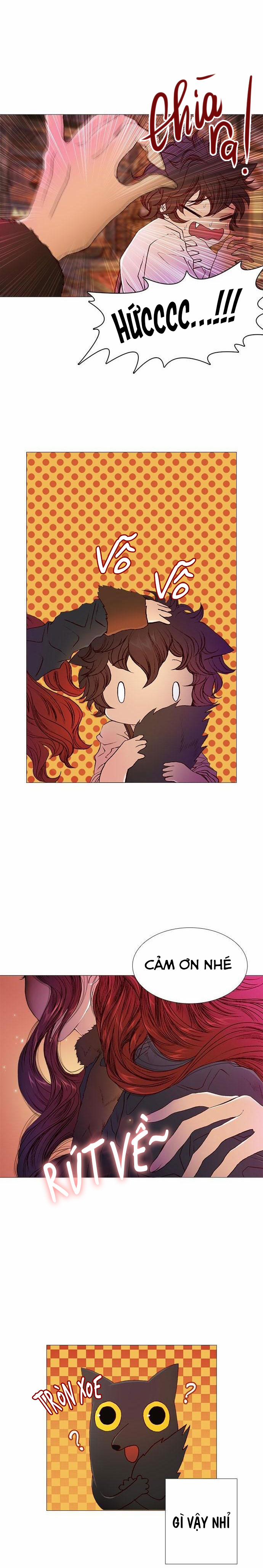 Tôi Chính Là Nhà Sưu Tập Chim 26.3 trang 3