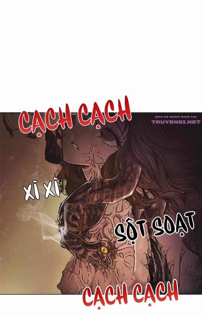 Tôi Chính Là Nhà Sưu Tập Chim 3 trang 13