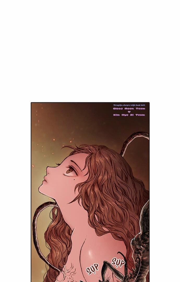 Tôi Chính Là Nhà Sưu Tập Chim 3 trang 2