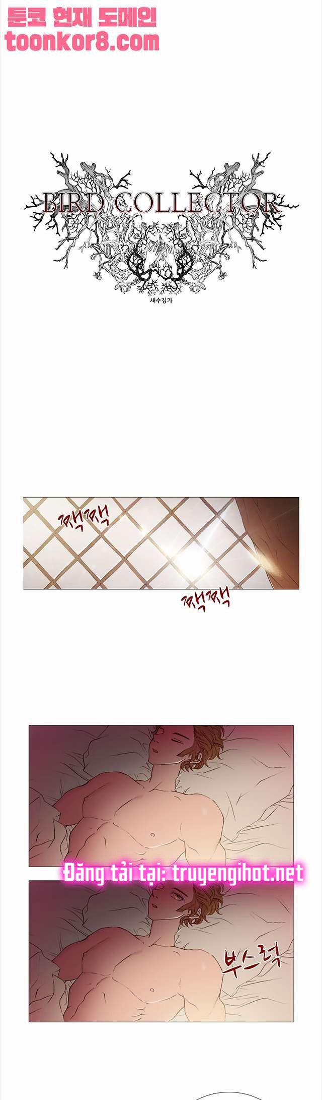 Tôi Chính Là Nhà Sưu Tập Chim 33 trang 4