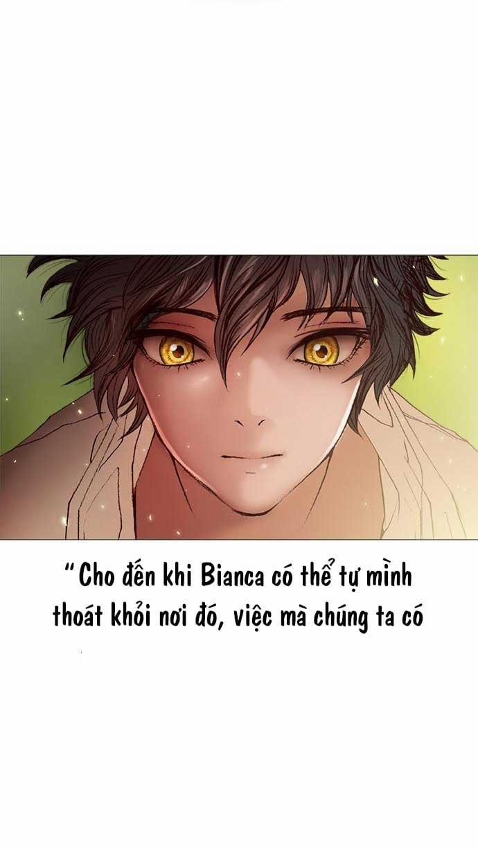 Tôi Chính Là Nhà Sưu Tập Chim 4 trang 26