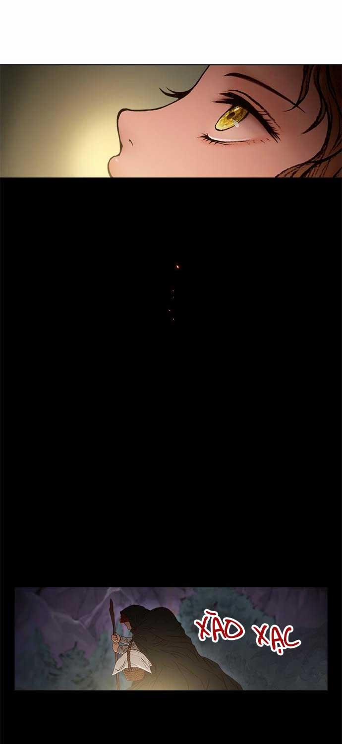 Tôi Chính Là Nhà Sưu Tập Chim 6 trang 28