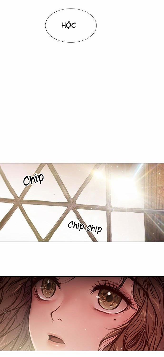 Tôi Chính Là Nhà Sưu Tập Chim 9 trang 10