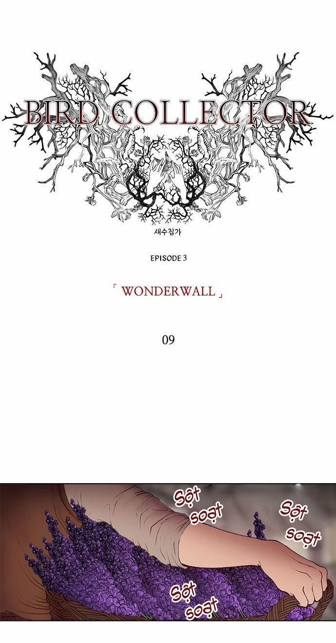 Tôi Chính Là Nhà Sưu Tập Chim 9 trang 13