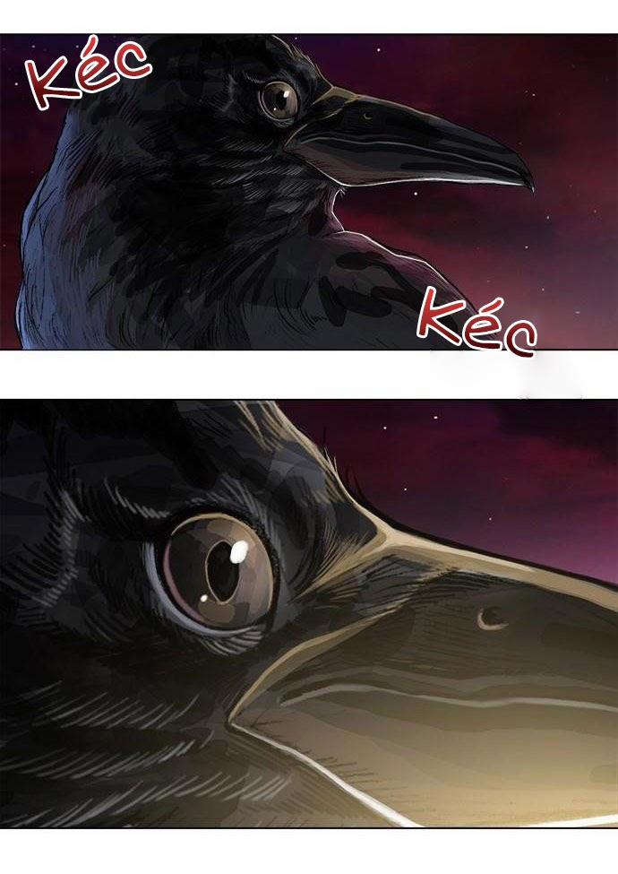 Tôi Chính Là Nhà Sưu Tập Chim 9 trang 36