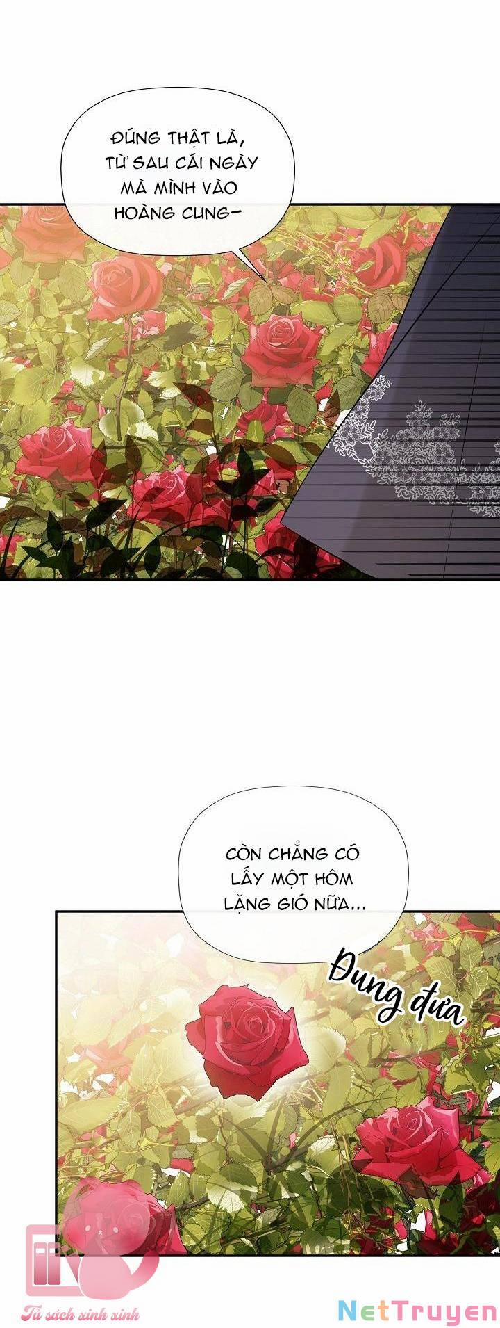 Tôi Chọc Nhầm Nam Phụ Che Giấu Thân Phận 17 trang 33