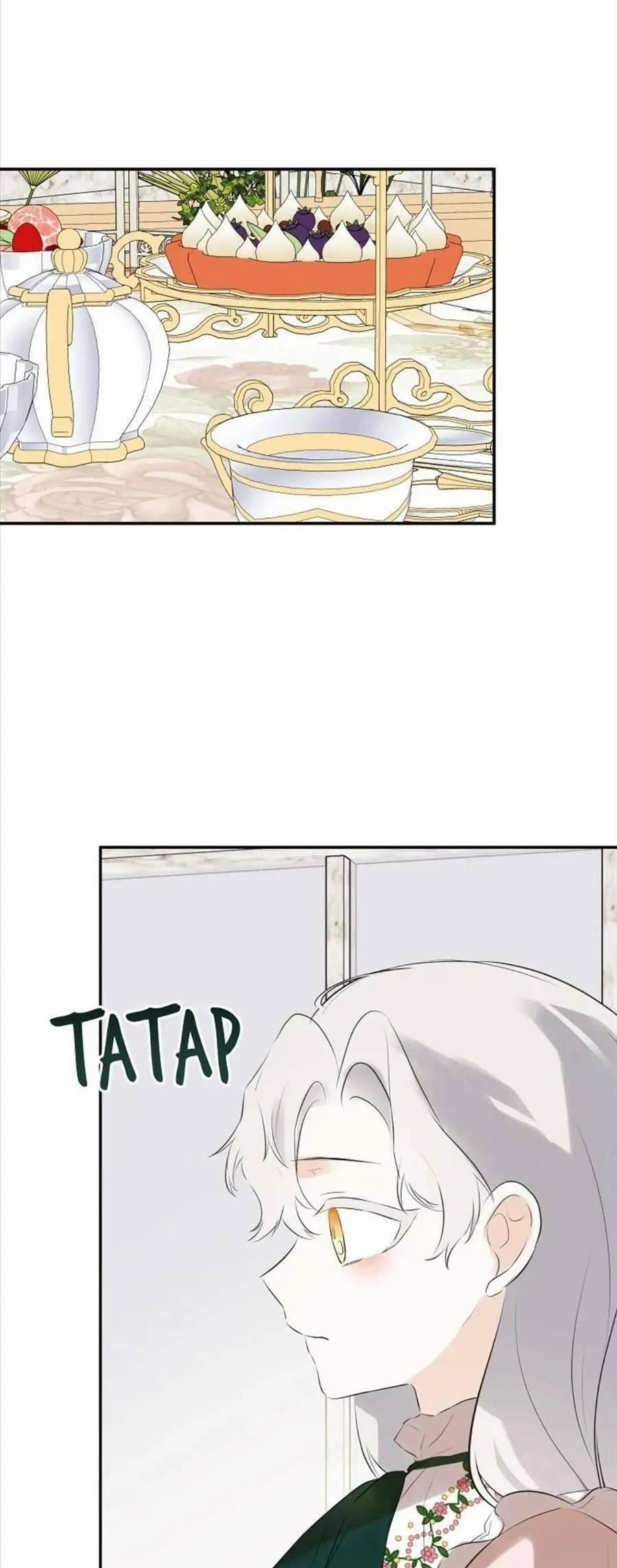 Tôi Chọc Nhầm Nam Phụ Che Giấu Thân Phận 32 trang 12