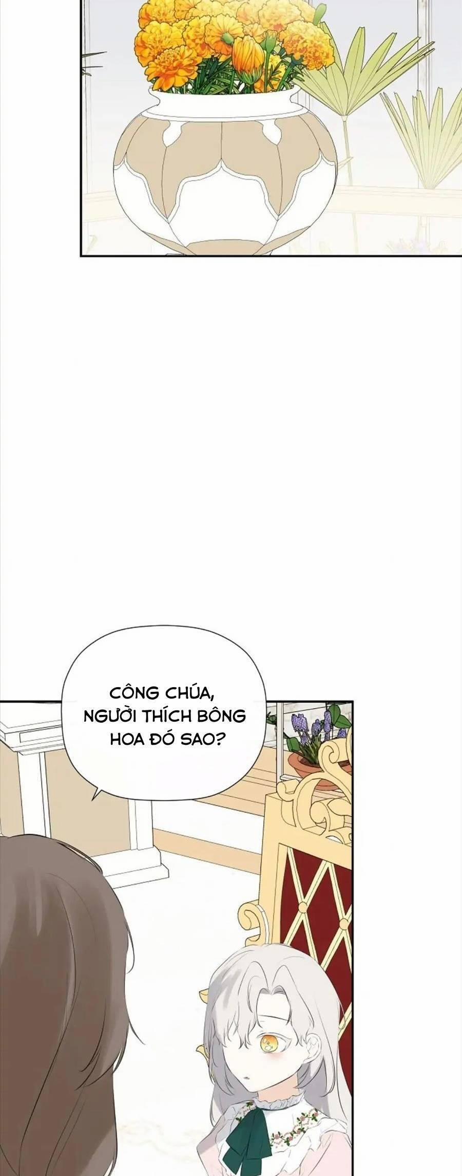 Tôi Chọc Nhầm Nam Phụ Che Giấu Thân Phận 32 trang 14