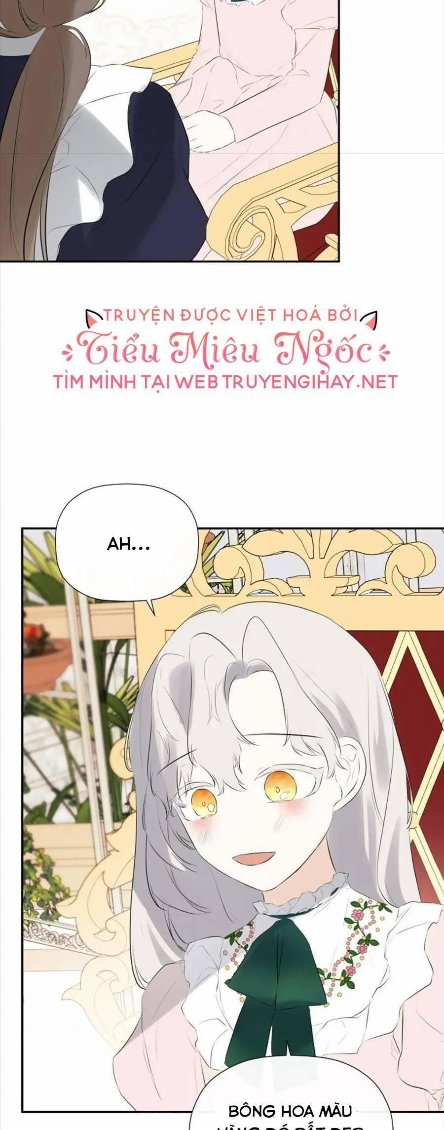 Tôi Chọc Nhầm Nam Phụ Che Giấu Thân Phận 32 trang 15