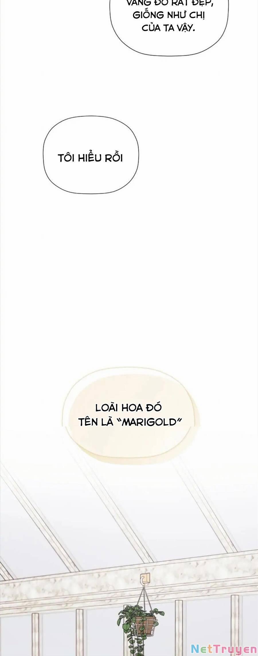 Tôi Chọc Nhầm Nam Phụ Che Giấu Thân Phận 32 trang 16