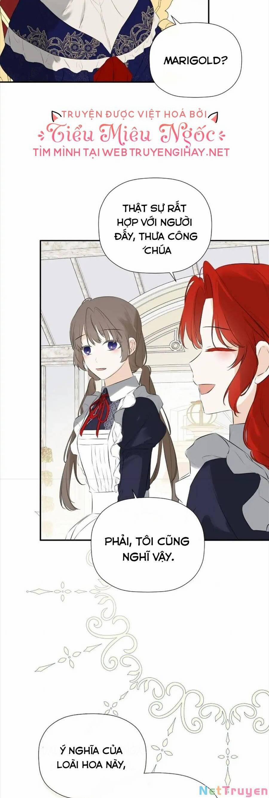 Tôi Chọc Nhầm Nam Phụ Che Giấu Thân Phận 32 trang 18