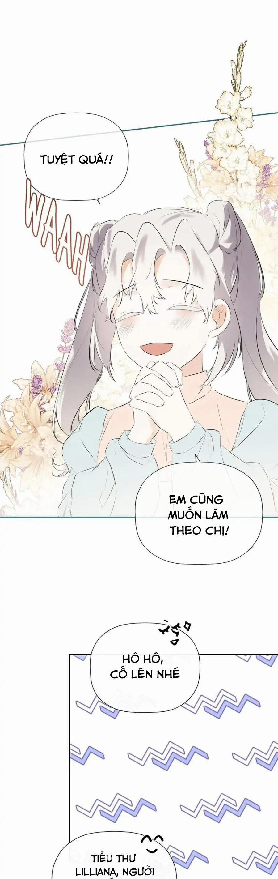 Tôi Chọc Nhầm Nam Phụ Che Giấu Thân Phận 33 trang 11