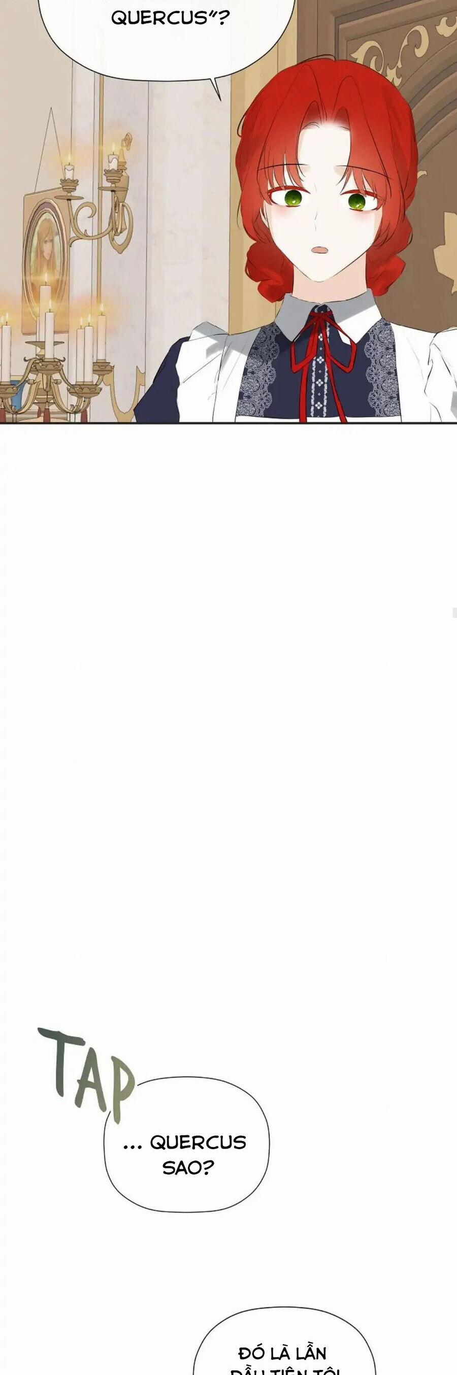 Tôi Chọc Nhầm Nam Phụ Che Giấu Thân Phận 33 trang 24