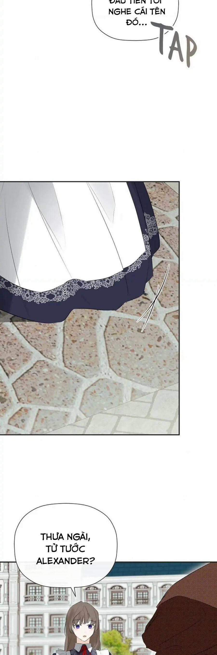 Tôi Chọc Nhầm Nam Phụ Che Giấu Thân Phận 33 trang 25