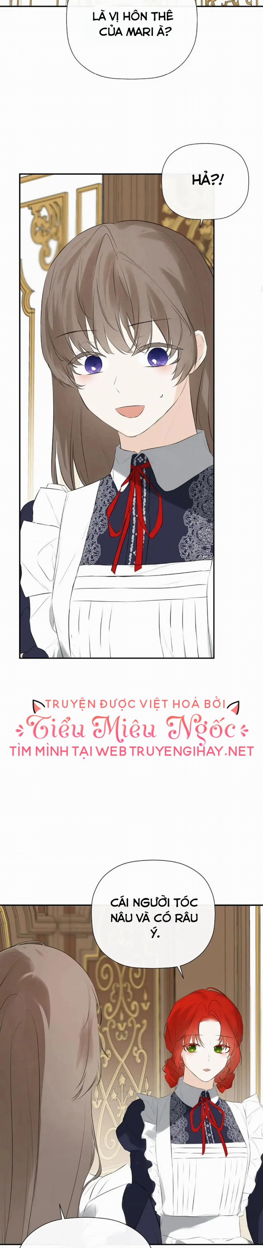 Tôi Chọc Nhầm Nam Phụ Che Giấu Thân Phận 35 trang 17