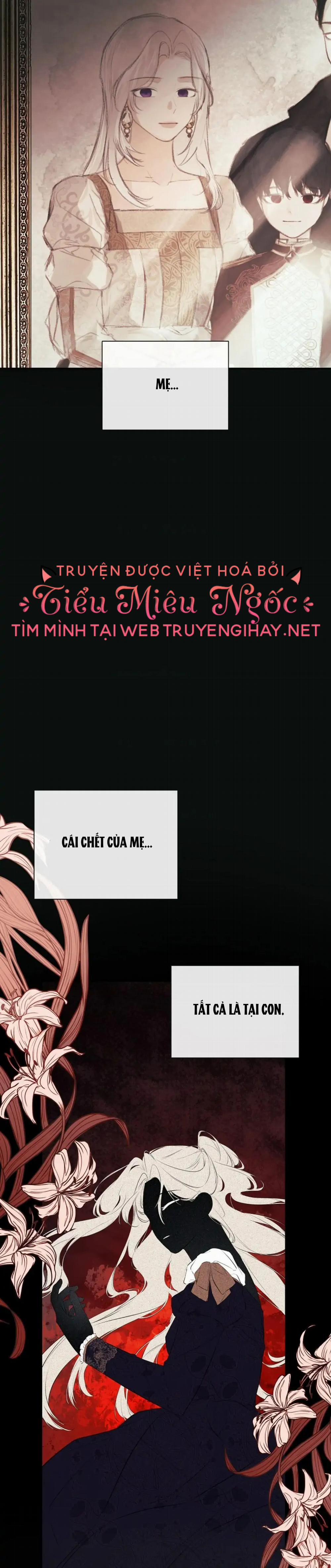 Tôi Chọc Nhầm Nam Phụ Che Giấu Thân Phận 35 trang 2