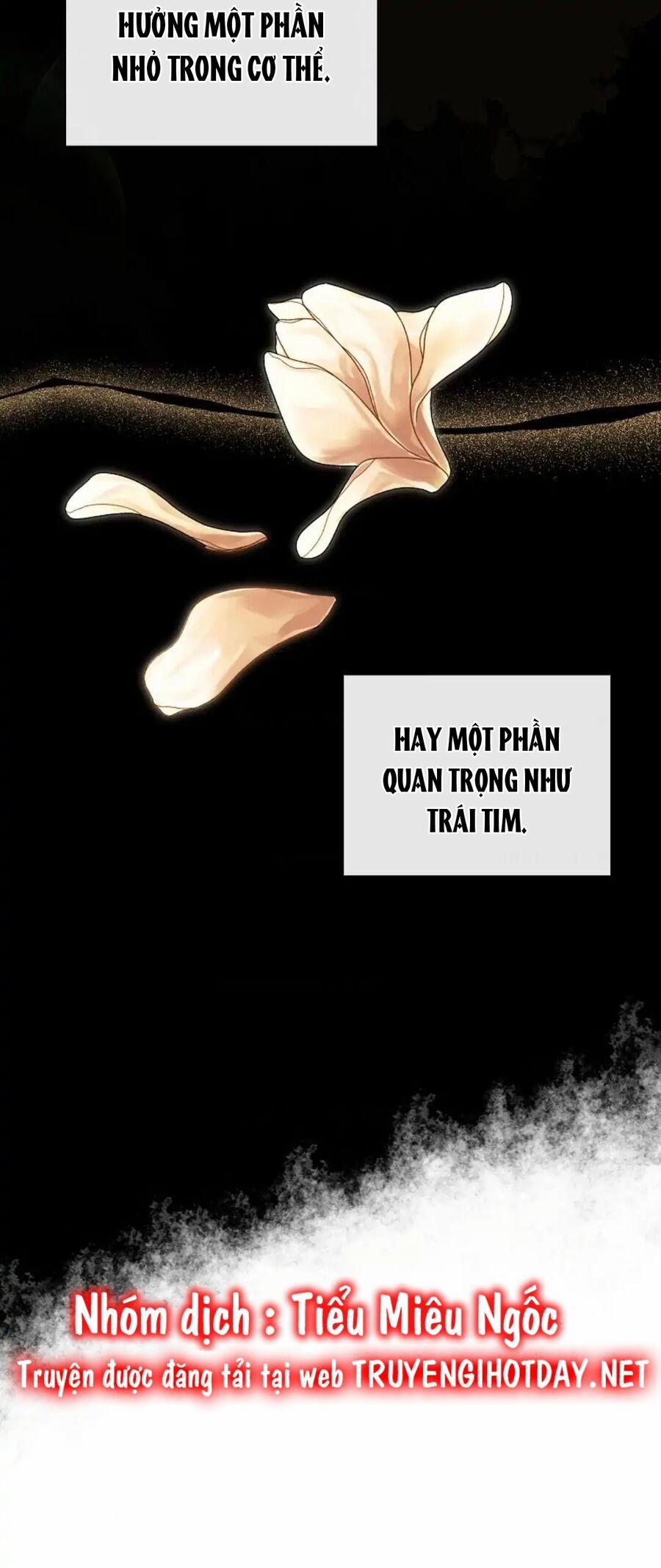 Tôi Chọc Nhầm Nam Phụ Che Giấu Thân Phận 36 trang 55