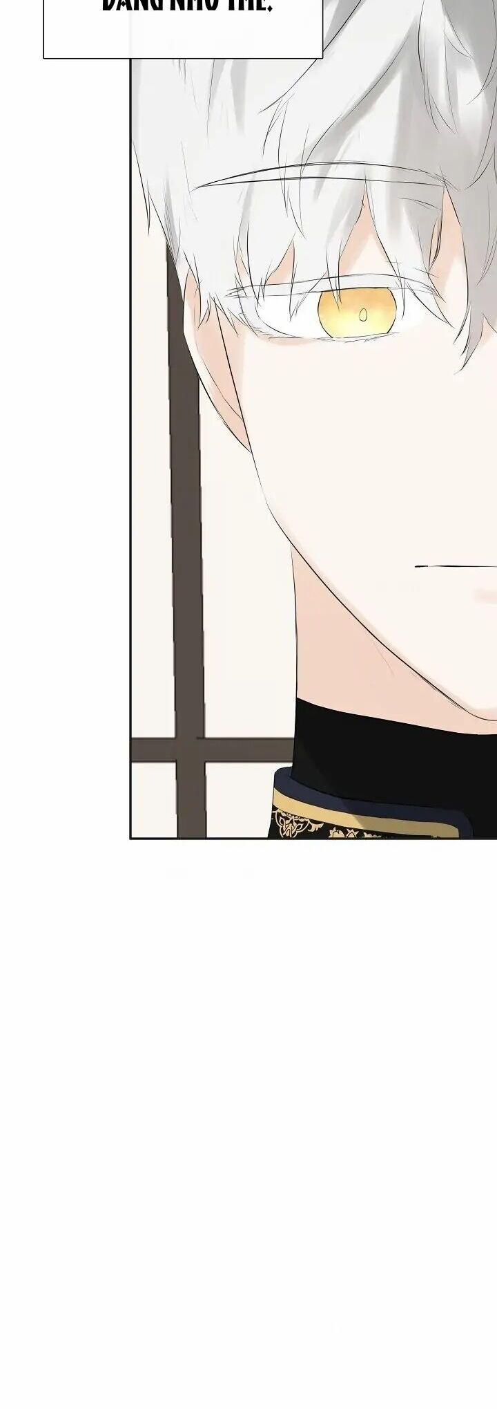 Tôi Chọc Nhầm Nam Phụ Che Giấu Thân Phận 37 trang 8