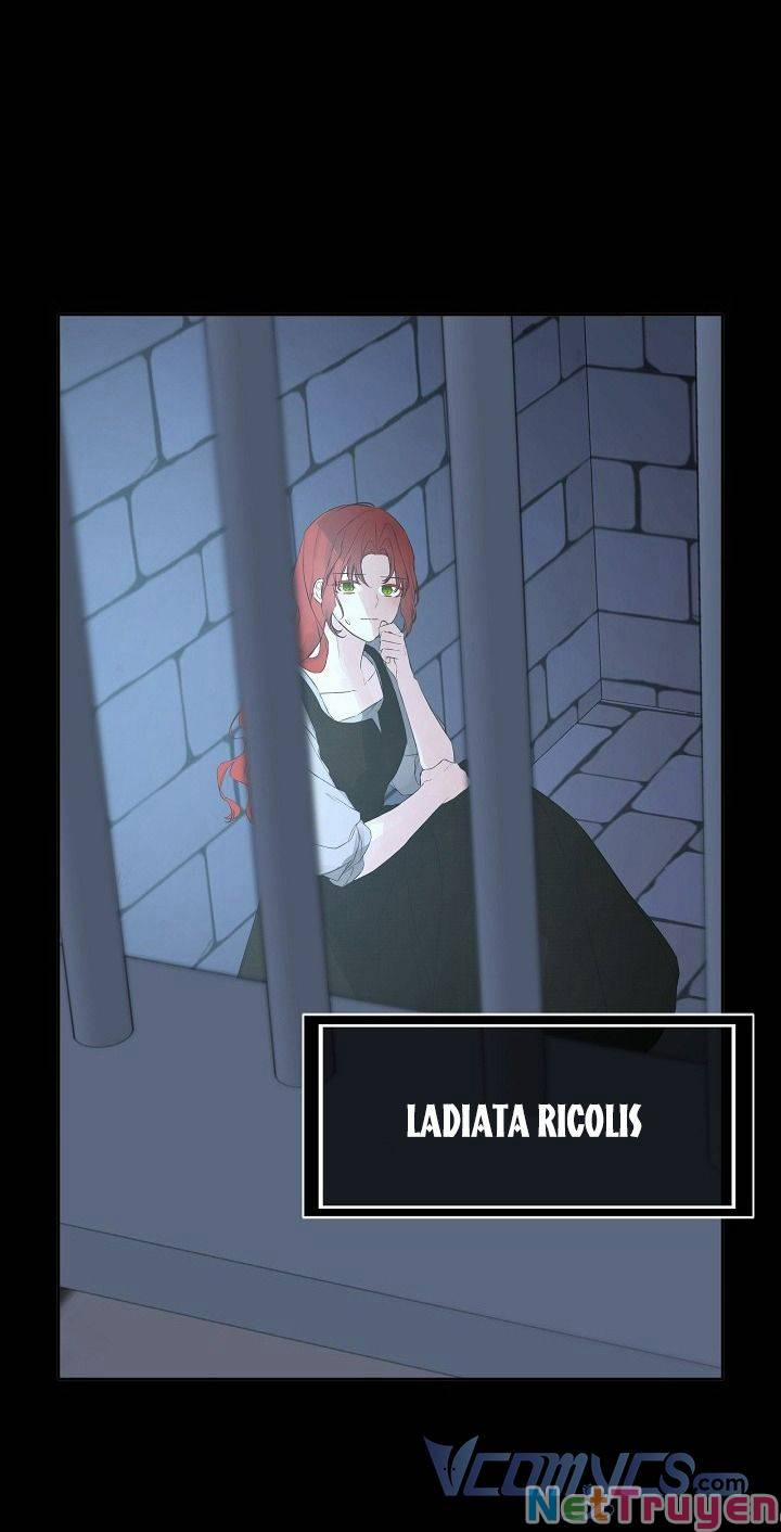 Tôi Chọc Nhầm Nam Phụ Che Giấu Thân Phận 4 trang 23