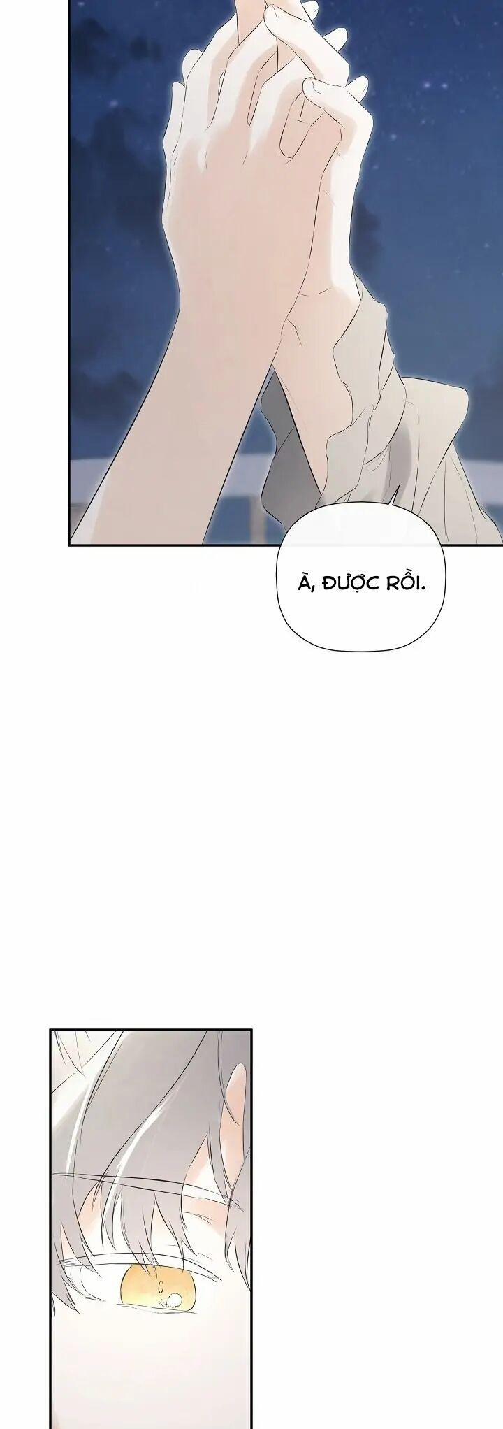 Tôi Chọc Nhầm Nam Phụ Che Giấu Thân Phận 40 trang 54