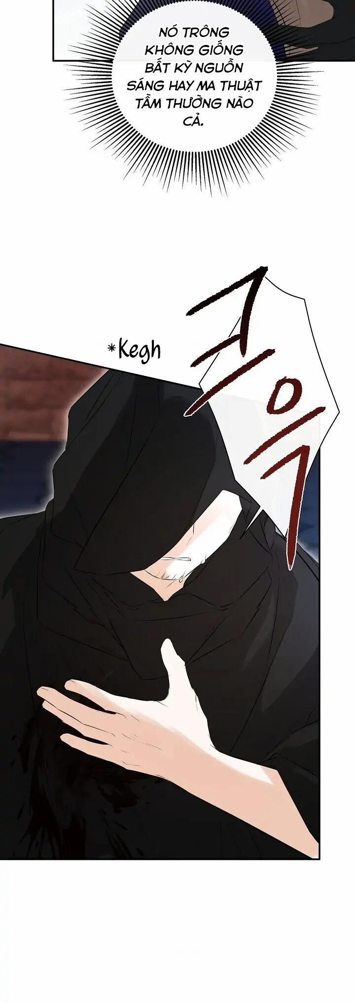 Tôi Chọc Nhầm Nam Phụ Che Giấu Thân Phận 47 trang 30