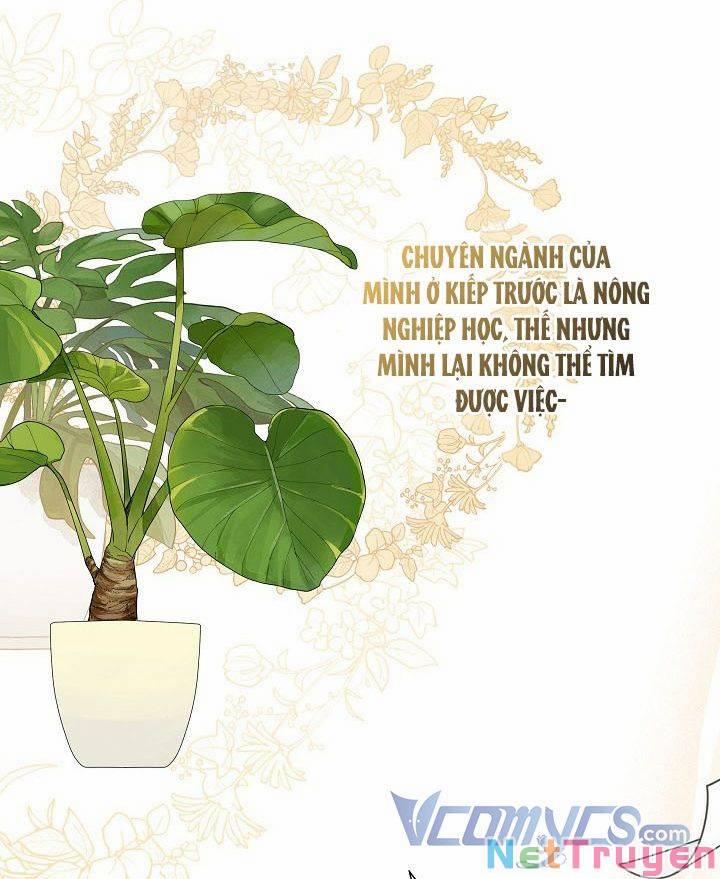 Tôi Chọc Nhầm Nam Phụ Che Giấu Thân Phận 5 trang 4