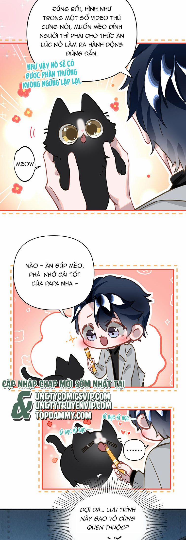 Tôi Có Bệnh 15 trang 6