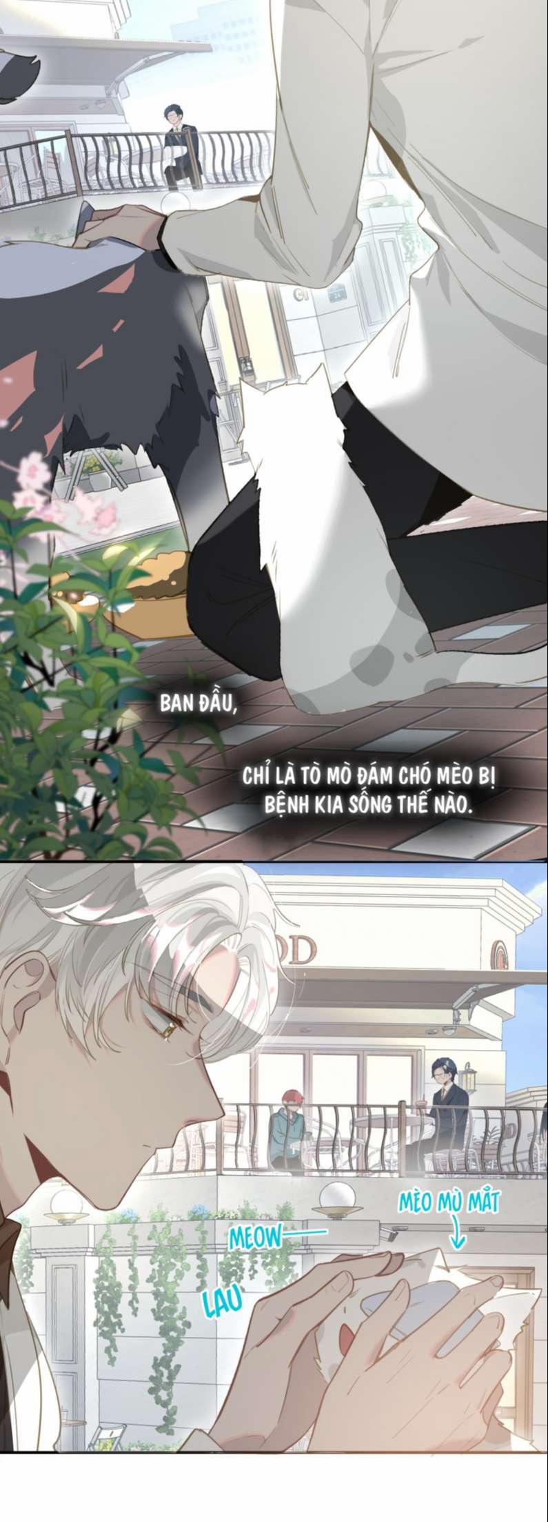 Tôi Có Bệnh 2 trang 13