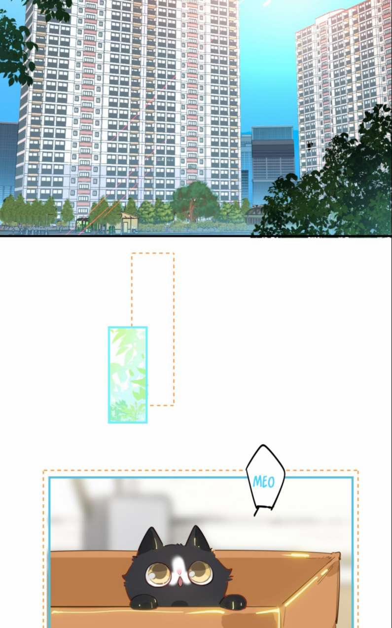 Tôi Có Bệnh 8 trang 12