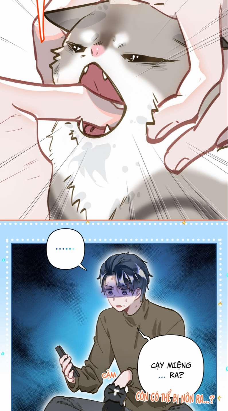 Tôi Có Bệnh 8 trang 33