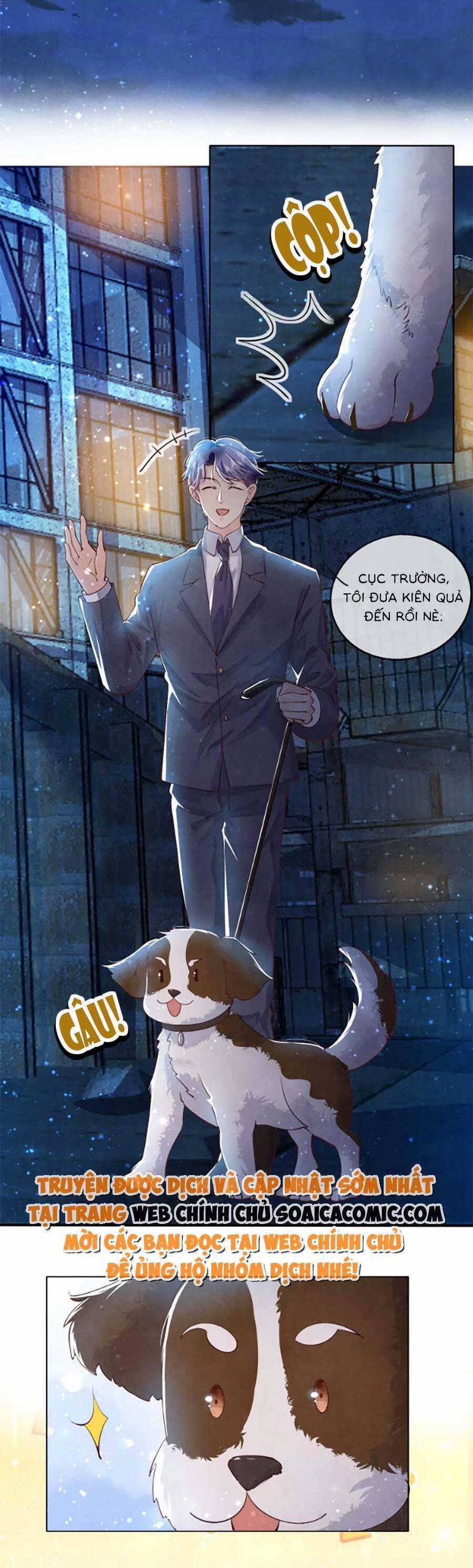 Tôi Có Ông Chồng Hay Ghen 62 trang 12